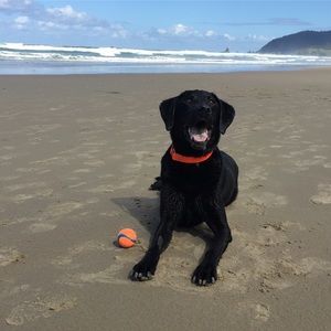 Meet your Posher, Kelly